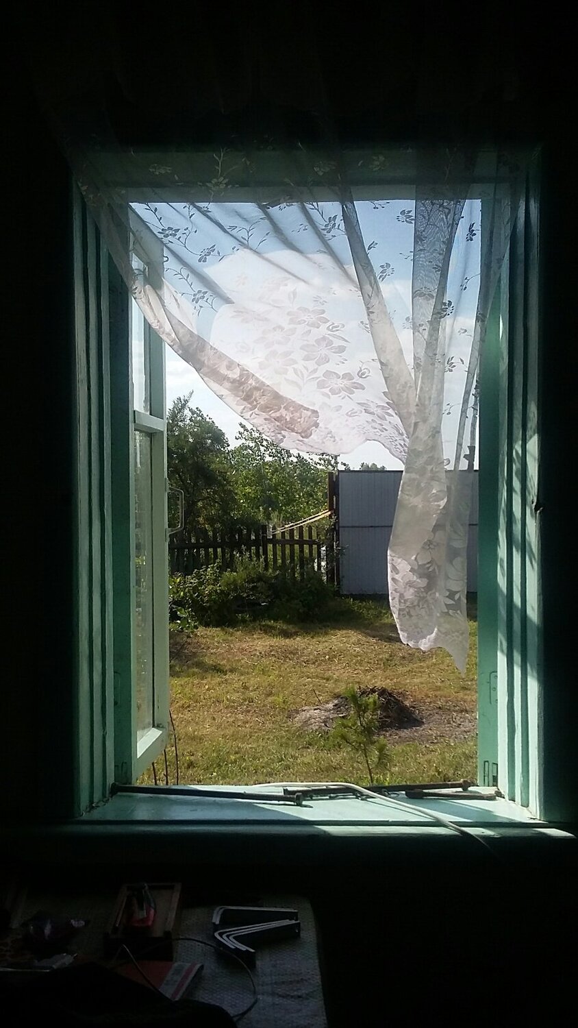 Photo #3398319