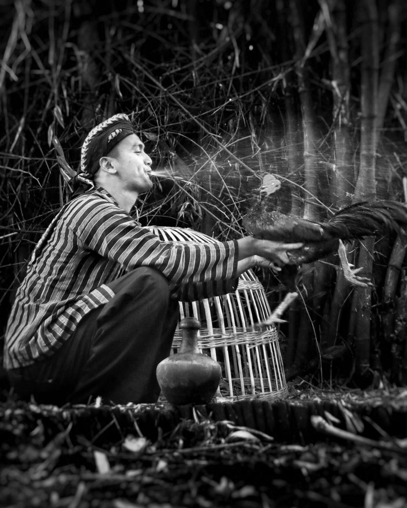 Tradisi Memandikan ayam