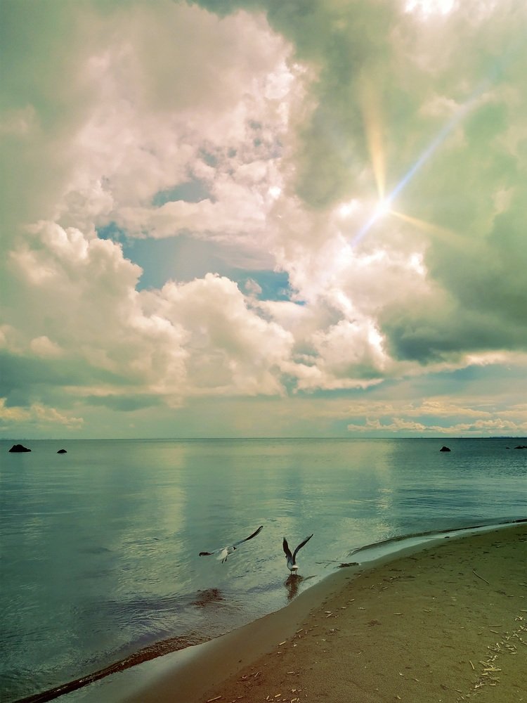 Photograph by Екатерина Бевзенко
