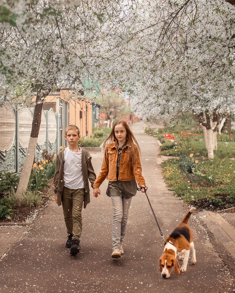 оранжевые прогулки