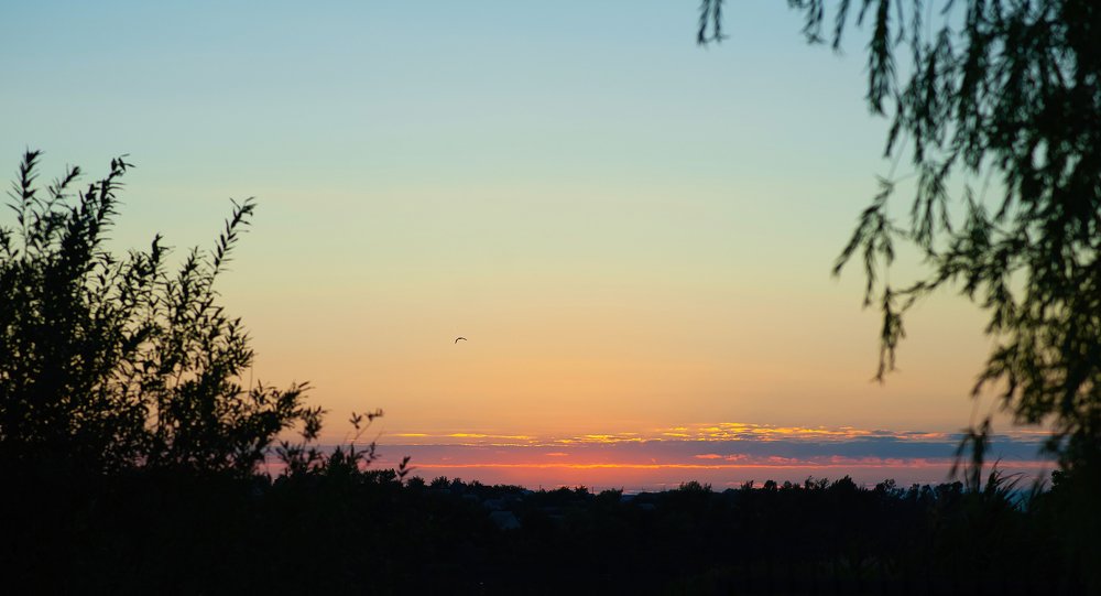 Photograph by Наталья Смышляева