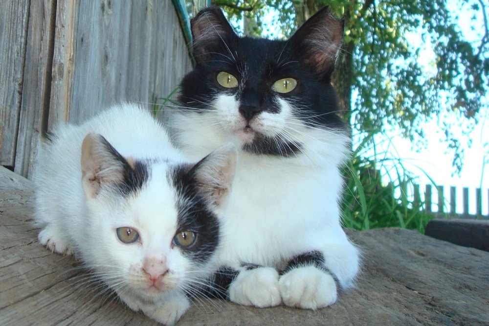 Photograph by Виталий