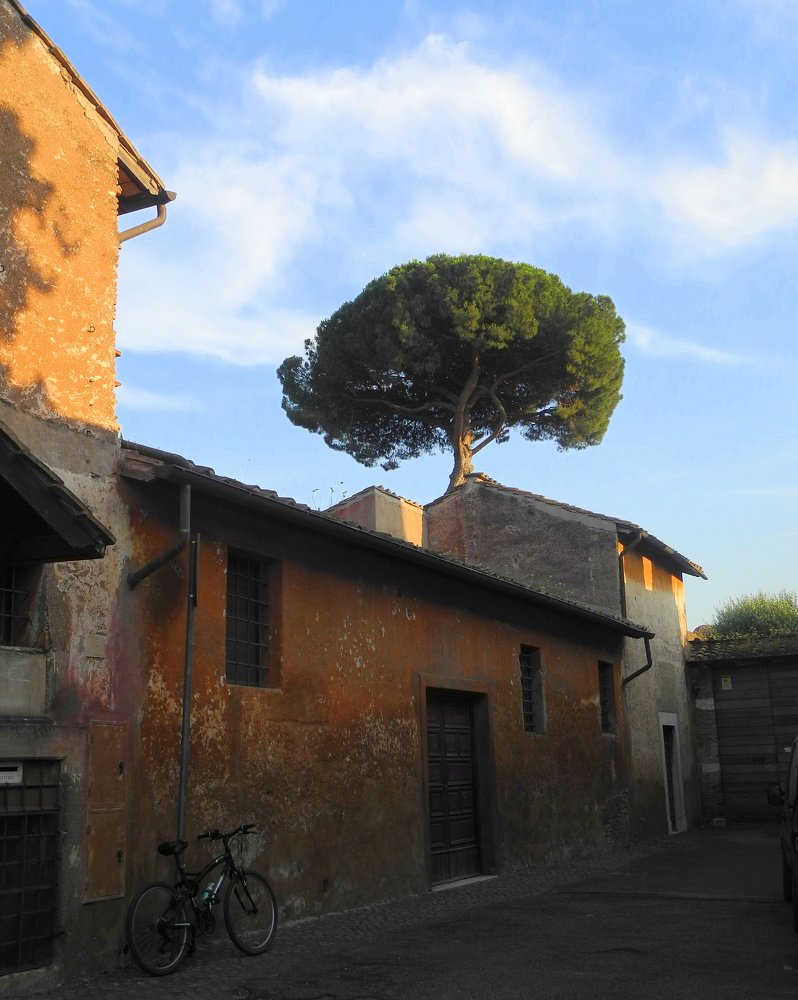 Photograph by Елена Литвин