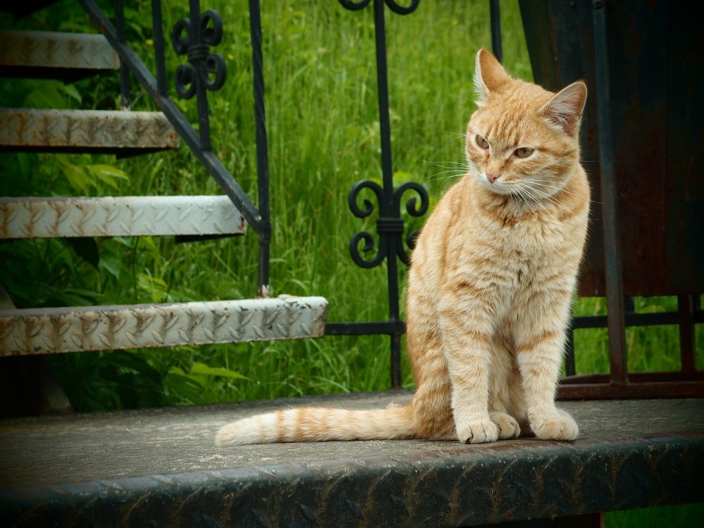 В задумчивости