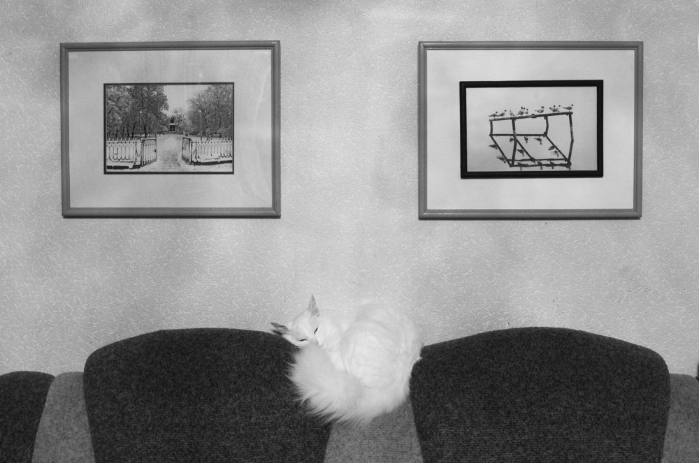 Хозяин в доме