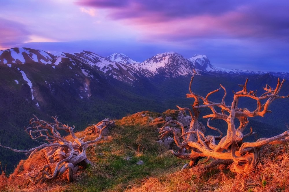 На краю плато Черногор