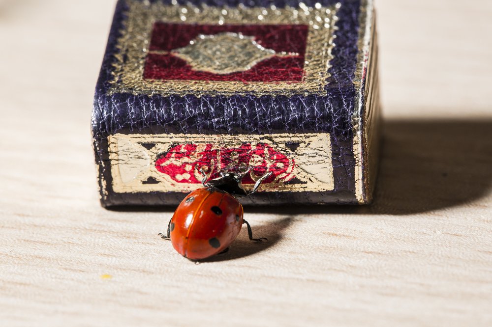 Фотография автора Ebrahim Rahiminezhad