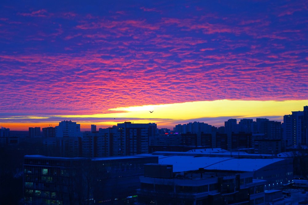 Рассвет раскрасил небосвод…