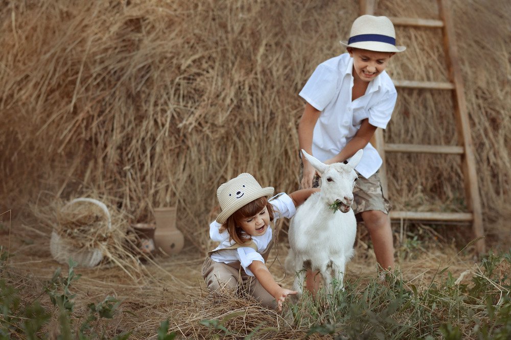 - Белочка, ты куда?