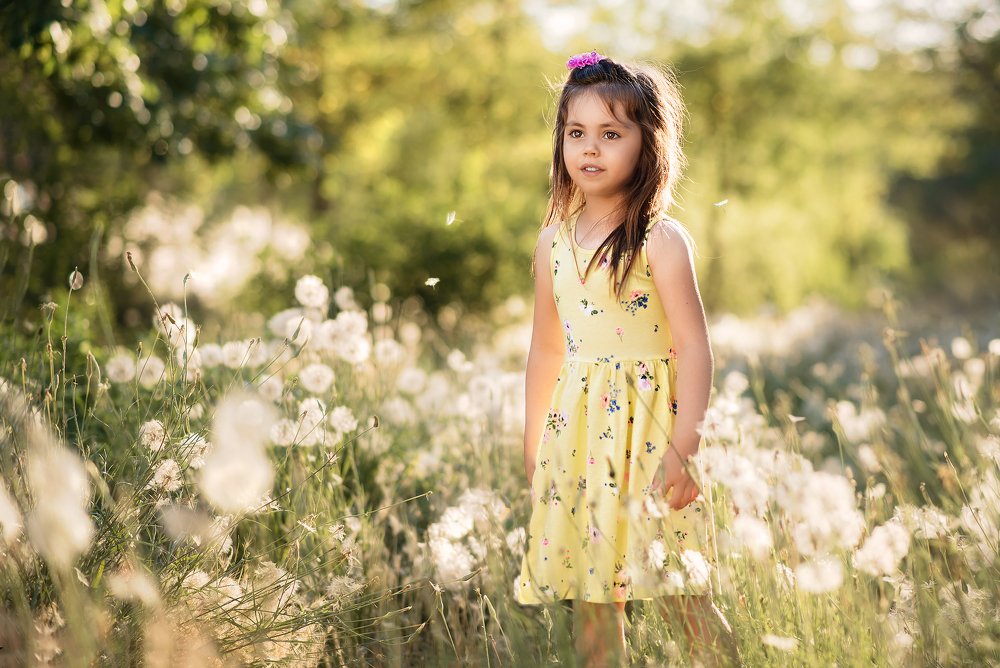 Одуванчики