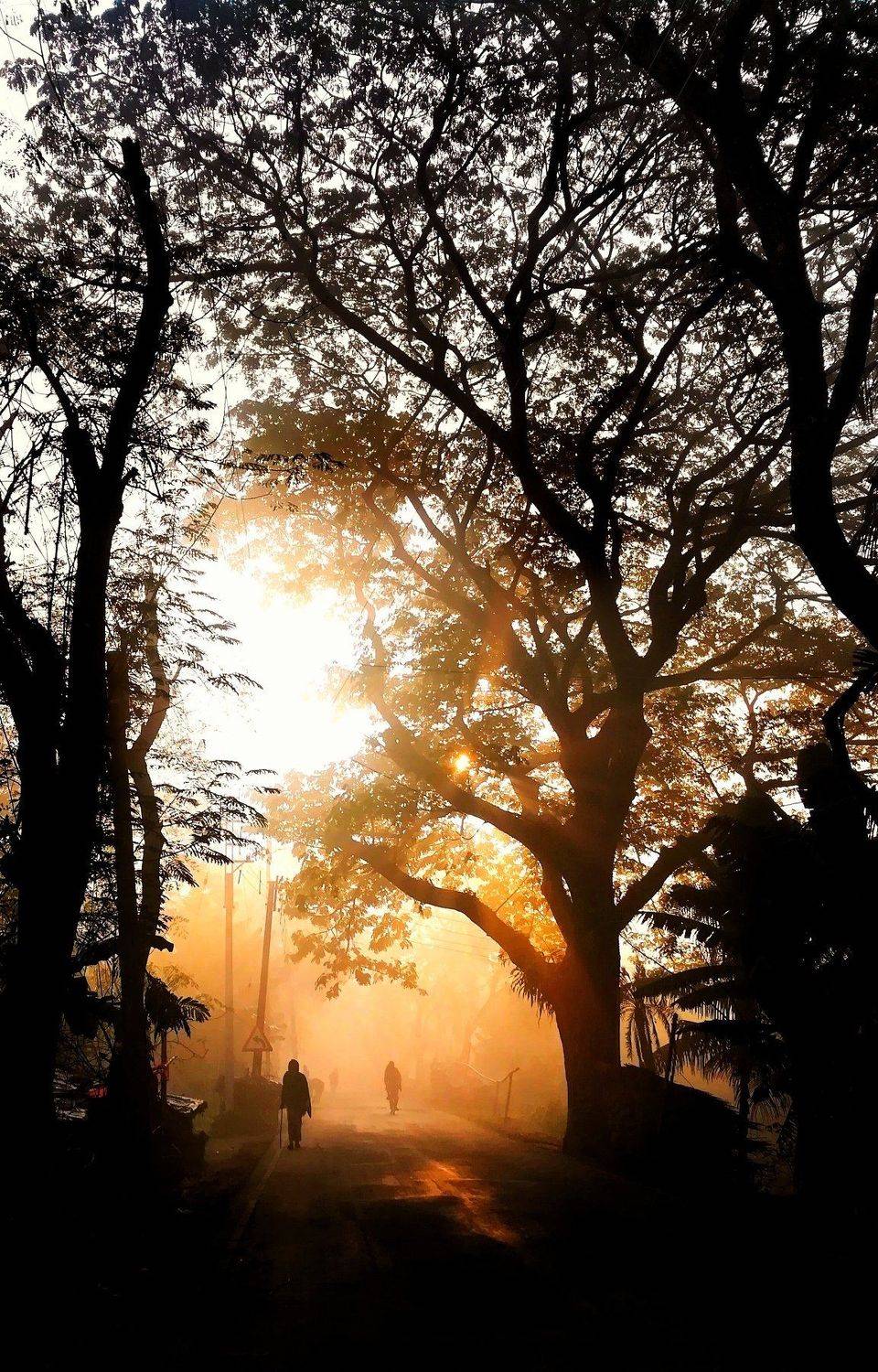 A Foggy morning