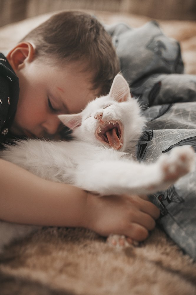 Photograph by Павлова Александра