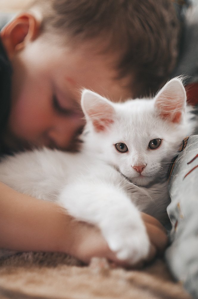 Photograph by Павлова Александра