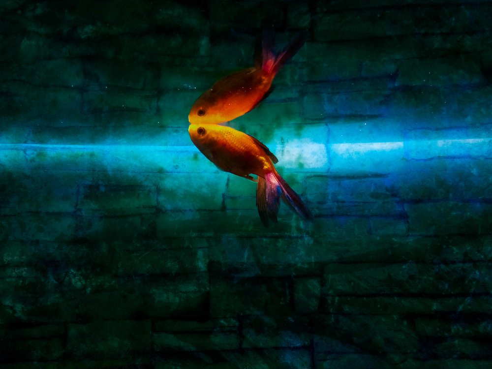 Photograph by Bhautik Lakhani