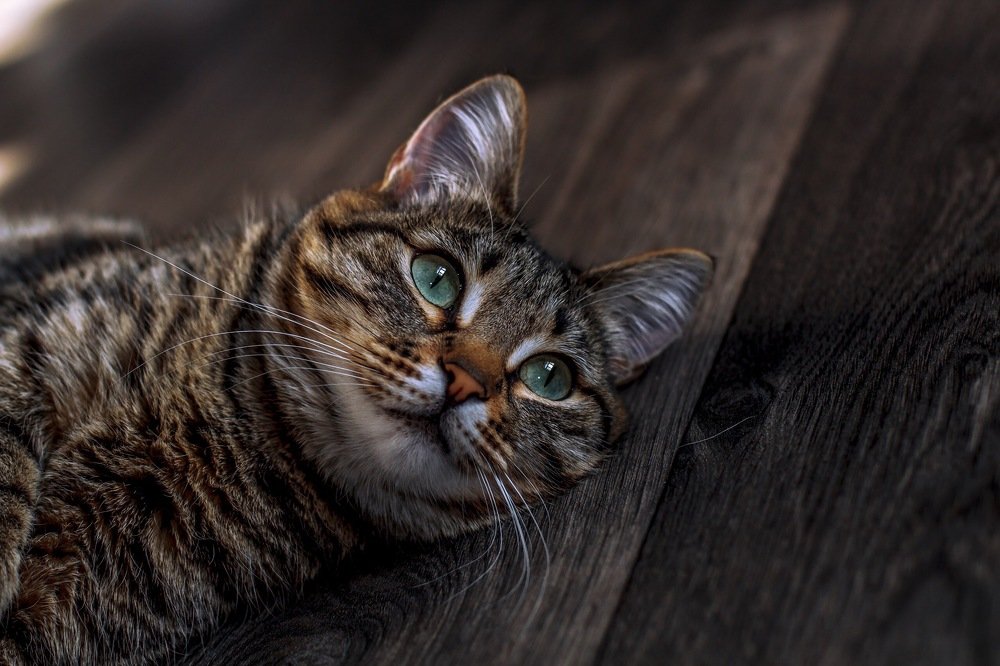 Photograph by Ирина Короткова