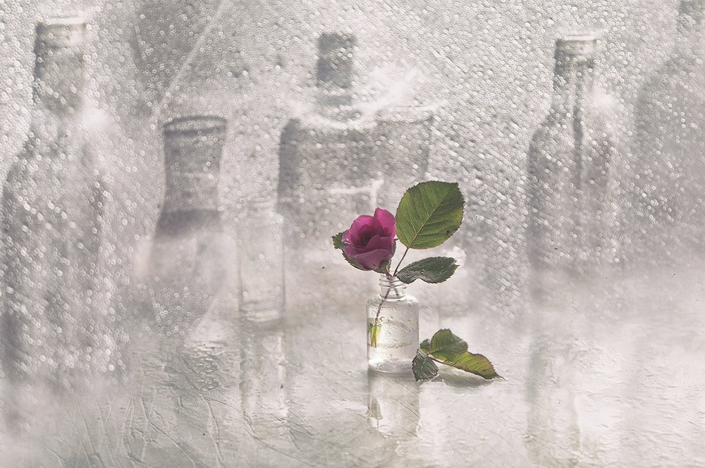 Одиночество