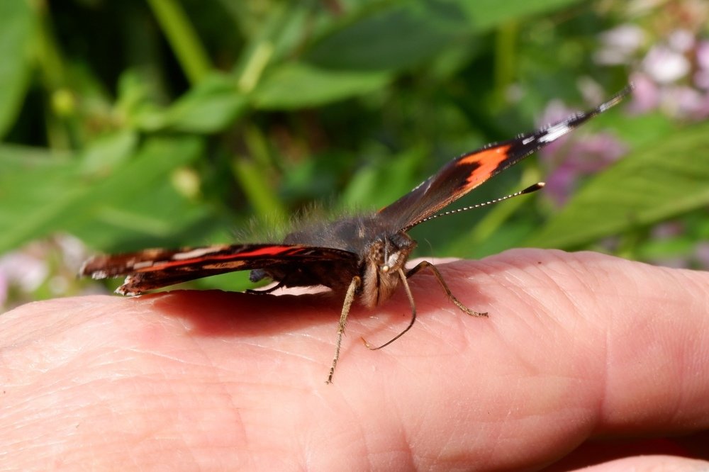 К взлету готов.