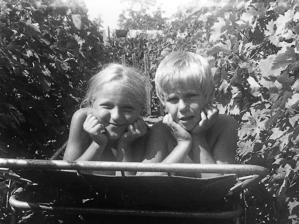 Солнечные зайчики