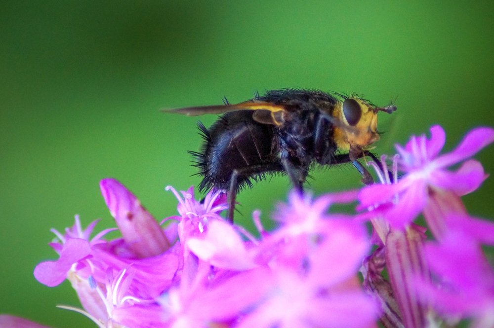 Photograph by Сергей Забиякин