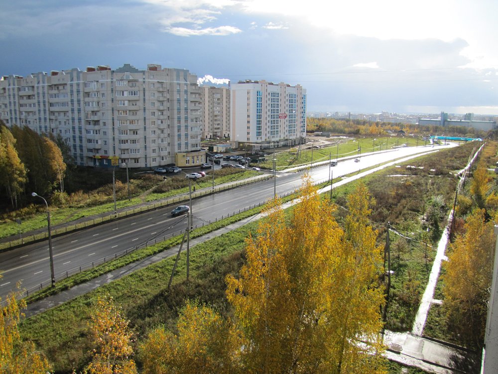 После дождя