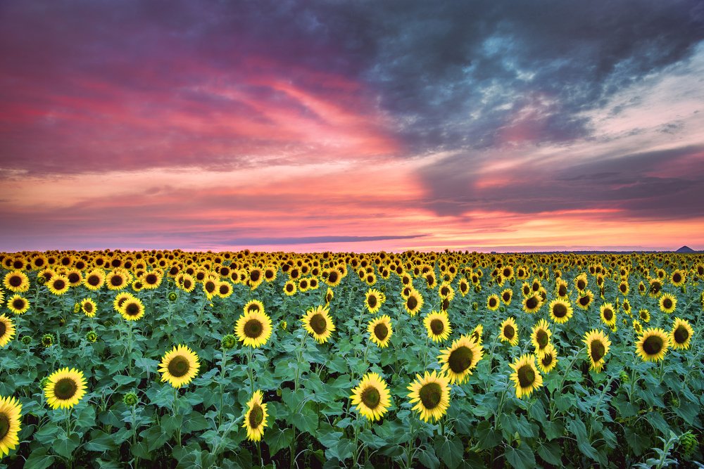 Photograph by Алексей хохлачёв