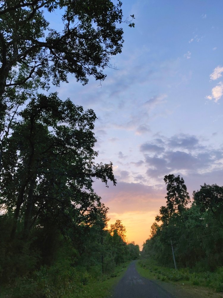 The biggest cliche in photography is sunrise and sunset.