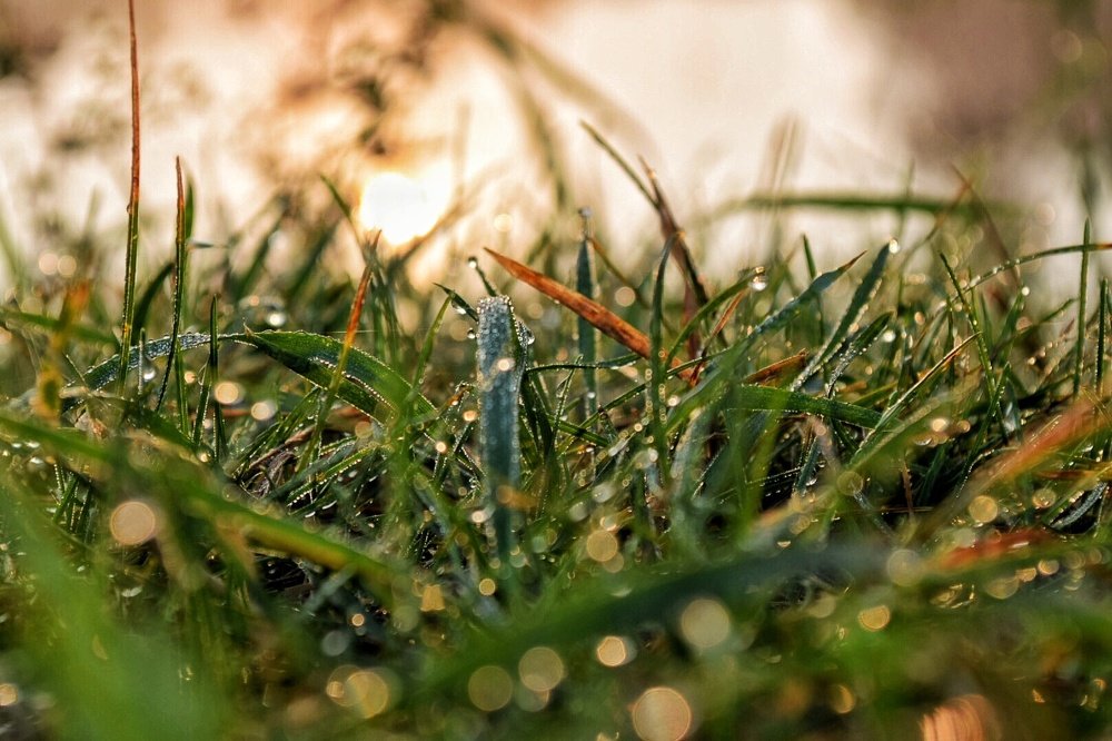 У реки. Закат.