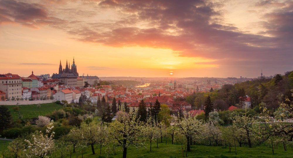 Spring morning in Prague