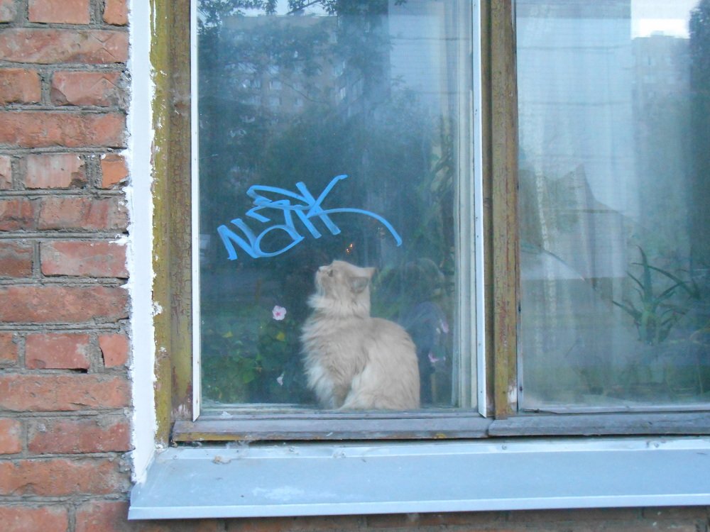 Фотография автора Настя Каляндра