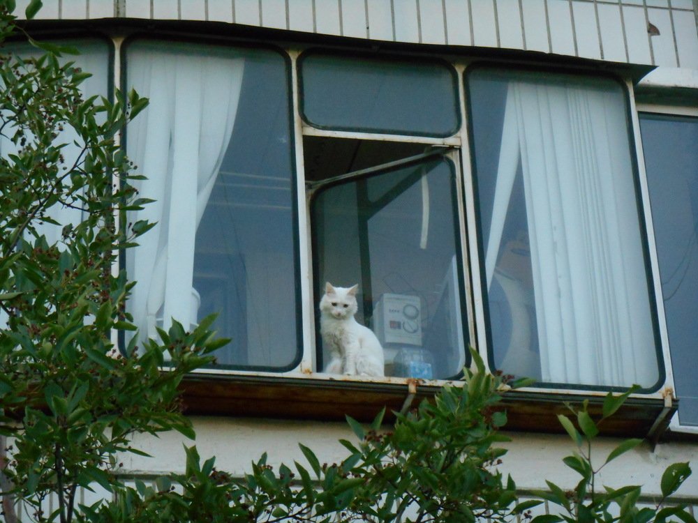 Фотография автора Настя Каляндра