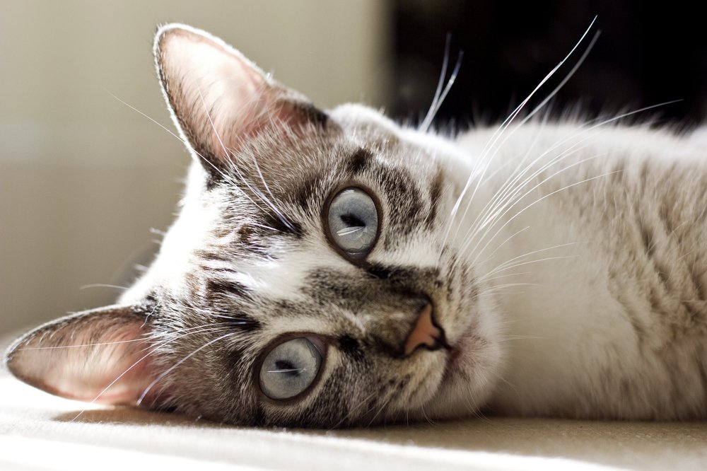 Photograph by Тирская Юлия