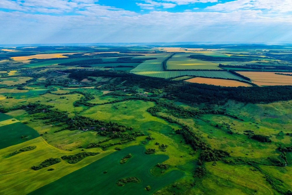 Родные просторы