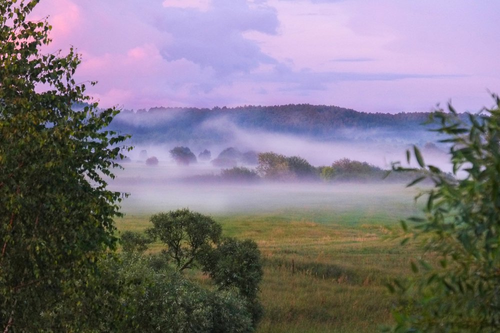 После дождя
