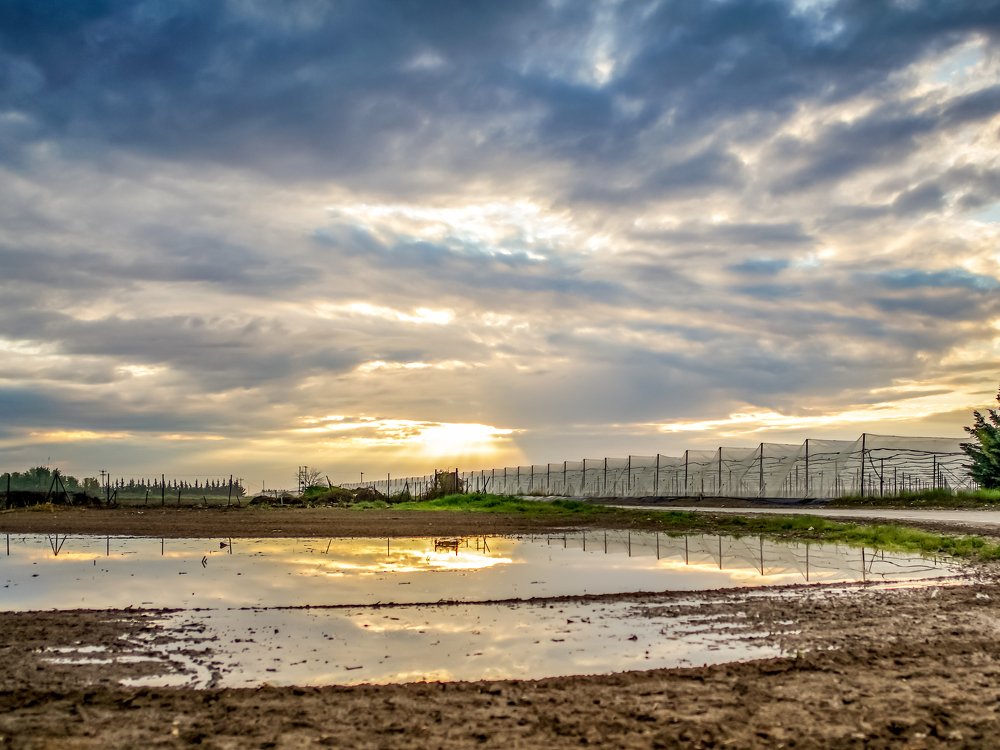 Sunrise in the fields