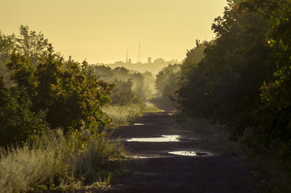 Утренняя дорога