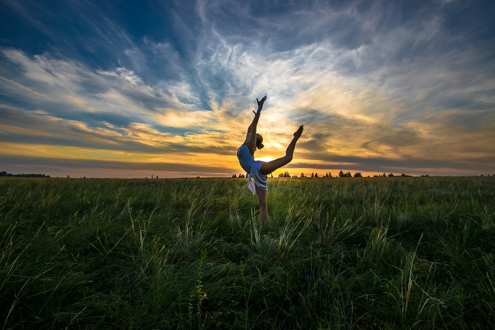 Ласточка на закате