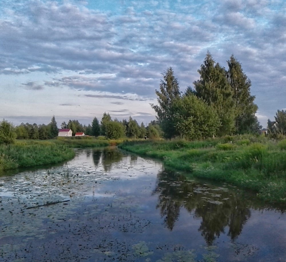 тихий вечер