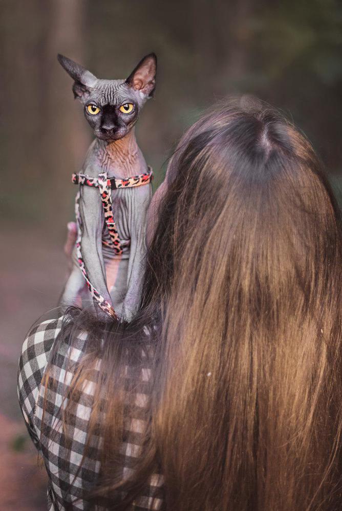 Называйте меня просто - Царица!