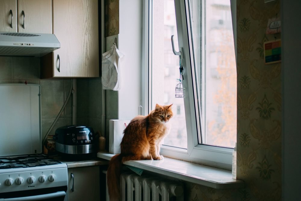 Домашнее настроение