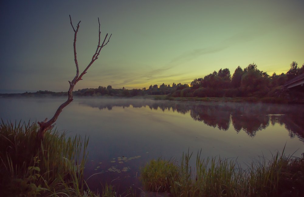 Тепло летнего вечера