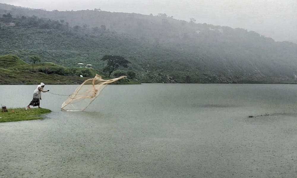 Catching life