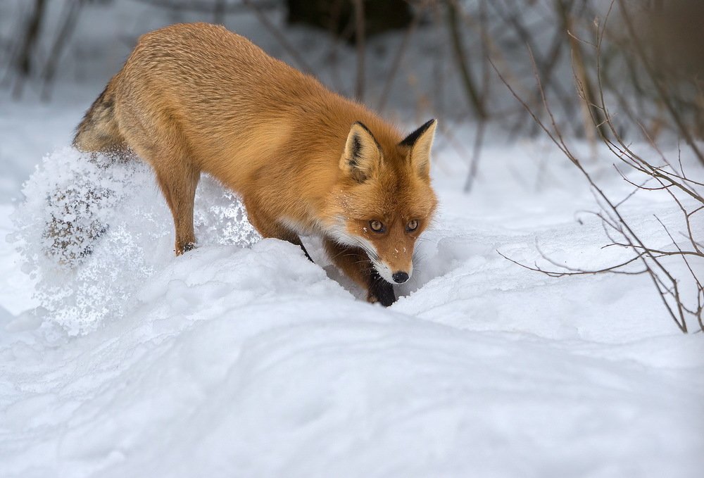 Кто не работает, тот не ест.