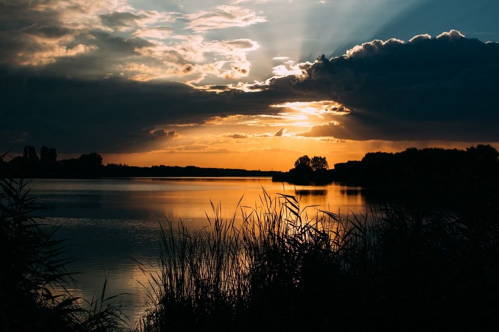 Photograph by Елена Демина