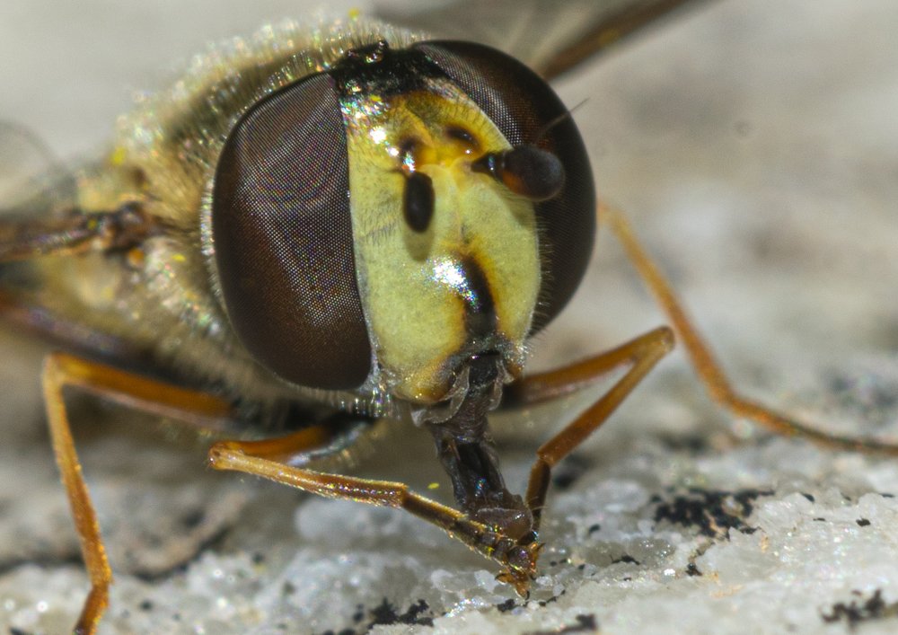 Photograph by Tayeb Ahmadi