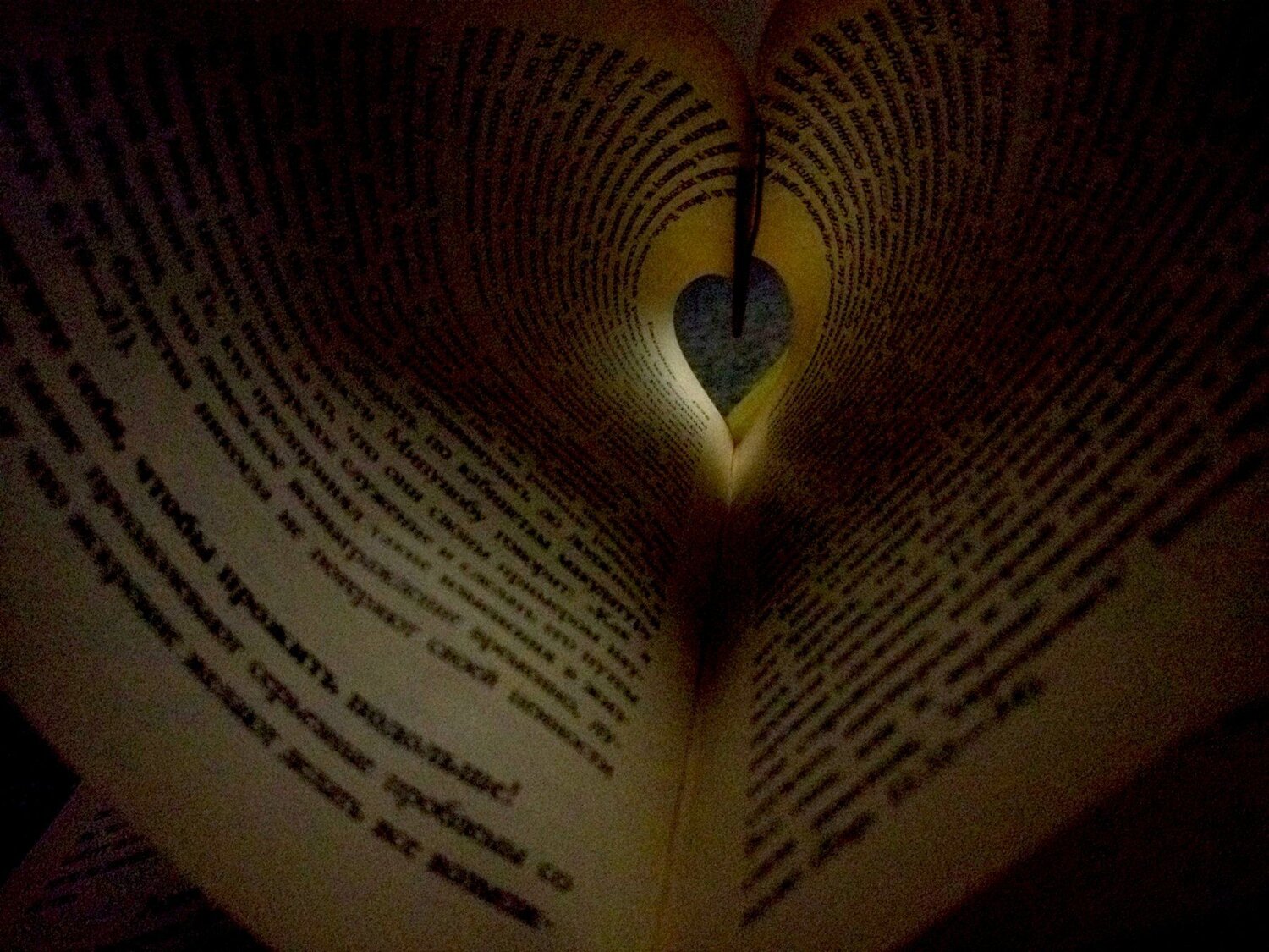 Любовь к книгам