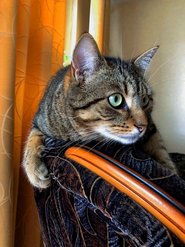 Photograph by Марина Дикманн