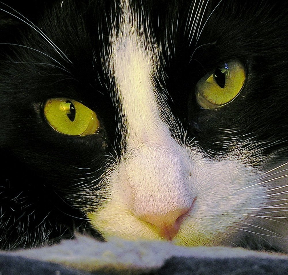 Photograph by László Horváth