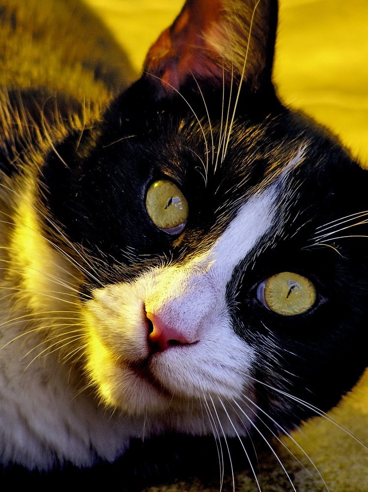 Photograph by László Horváth