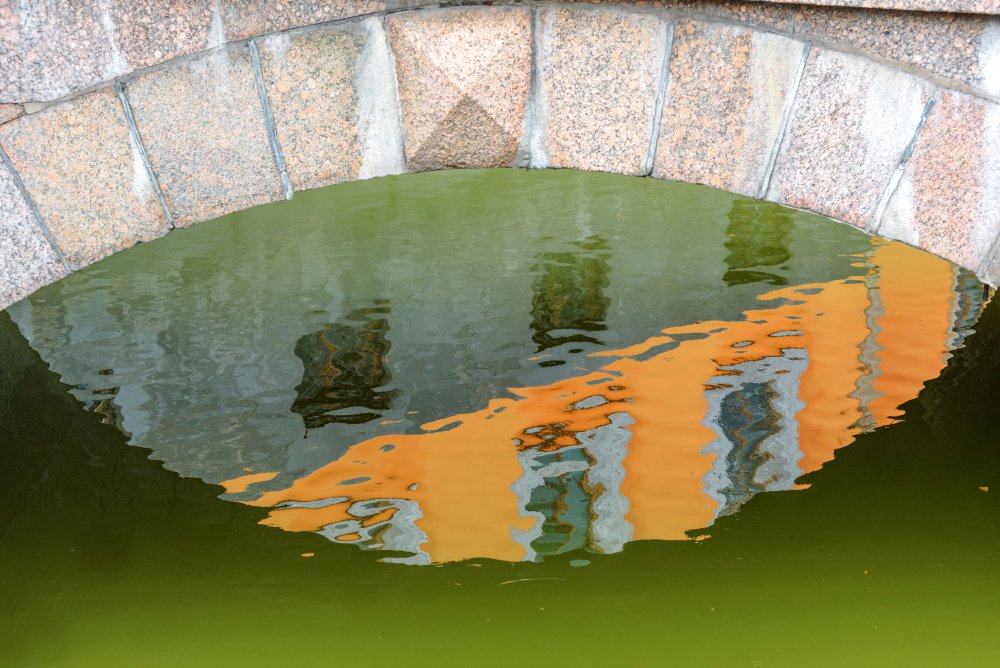 Всевидящее око города