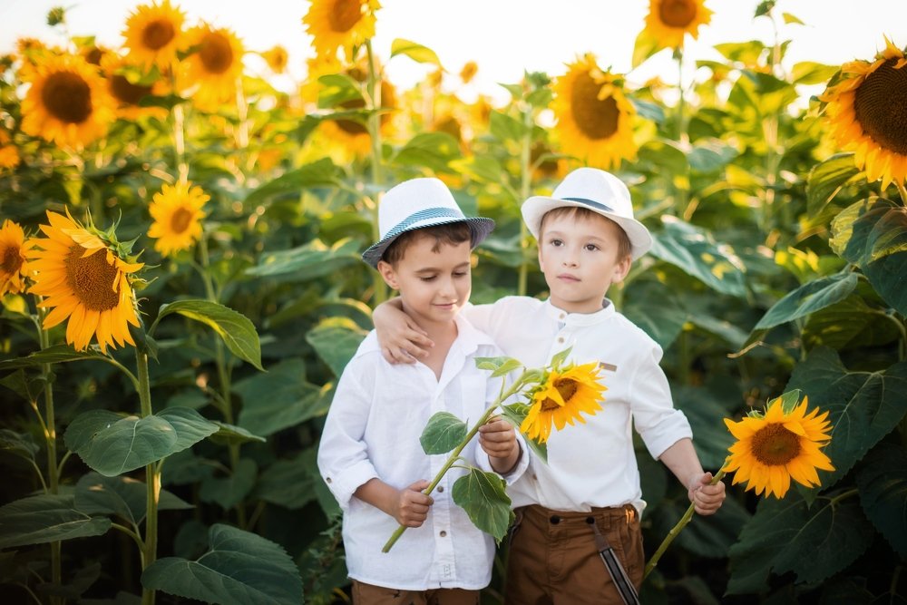 Photograph by Татьяна Золотарева